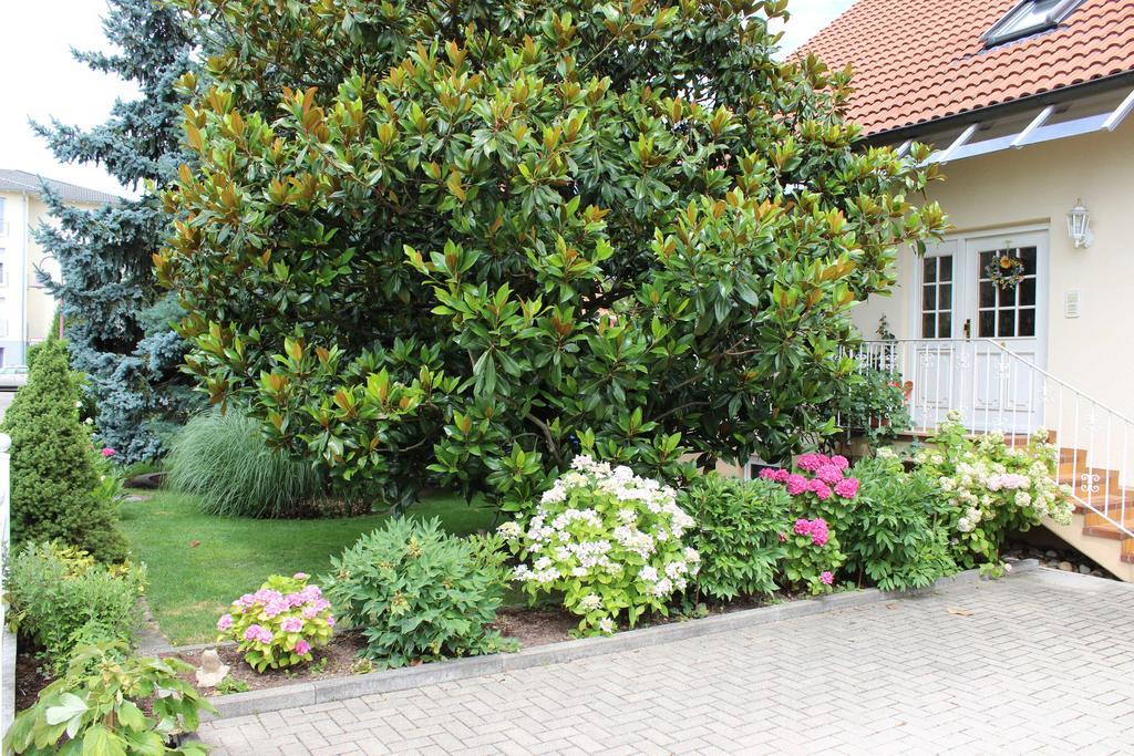 Ferienwohnung Fleck Rust Exteriör bild